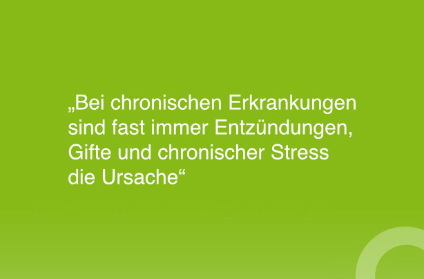 Bei chronischen Erkrankungen sind fast immer Entzündungen, Gifte und chronischer Stress die Ursache